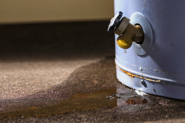 Best Flooded house restoration  in Fairview, CA