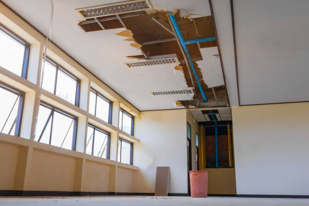 Best Water damage restoration near me  in Fairview, CA
