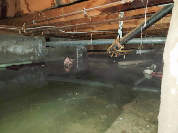 Best Flood restoration services  in Fairview, CA