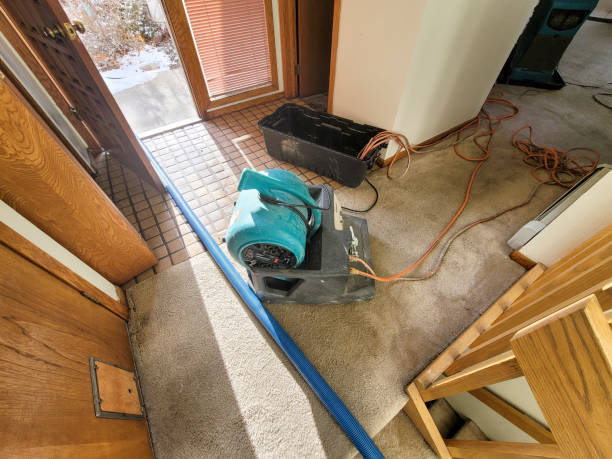 Best Fire Damage Restoration  in Fairview, CA