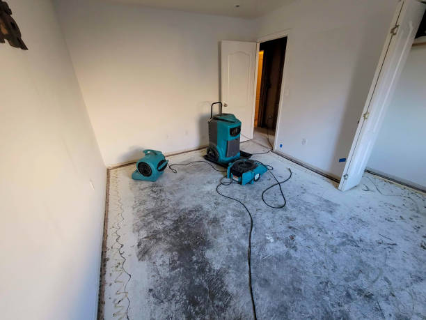 Best Water damage restoration insurance claims  in Fairview, CA