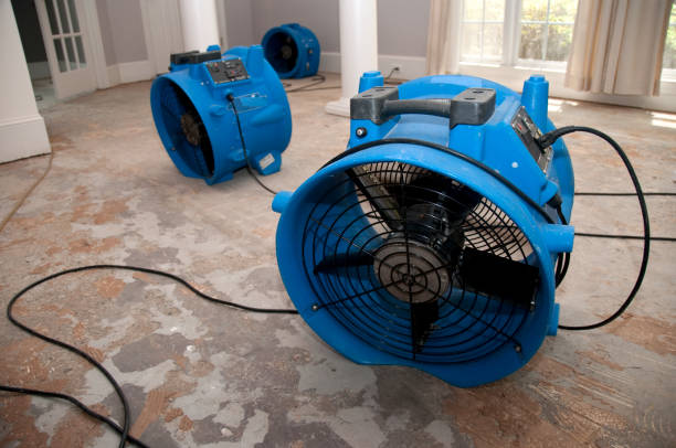 Water damage restoration insurance claims in CA