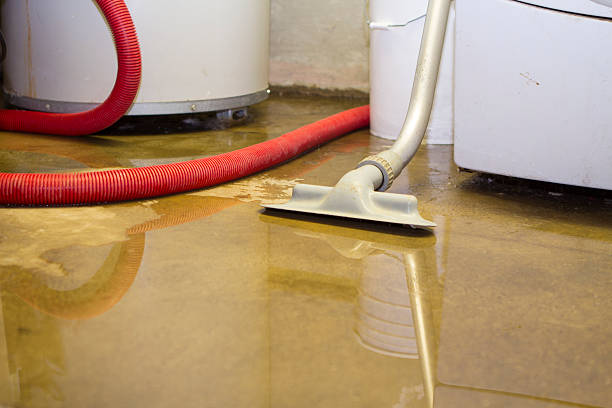Best Water damage contractors near me  in Fairview, CA