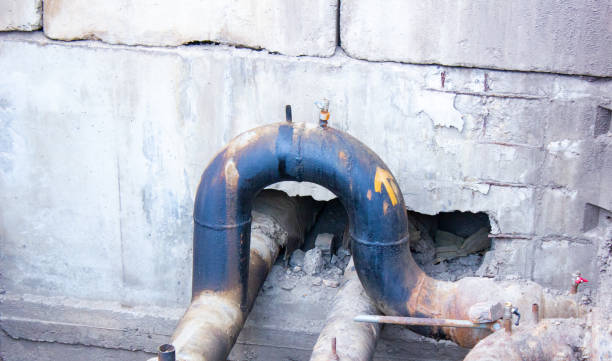 Best Mold removal after water damage  in Fairview, CA