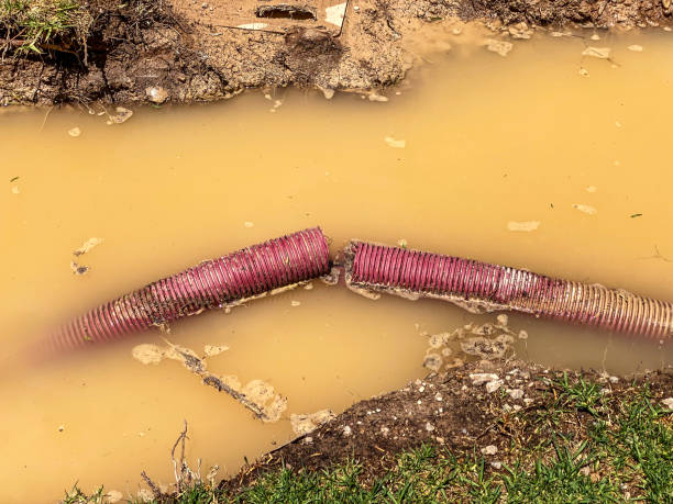 Best Water damage restoration near me  in Fairview, CA