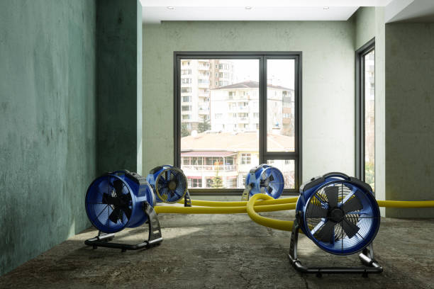 Fire Damage Restoration in CA