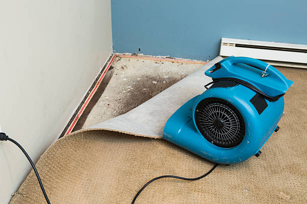Best Fire Damage Restoration  in Fairview, CA
